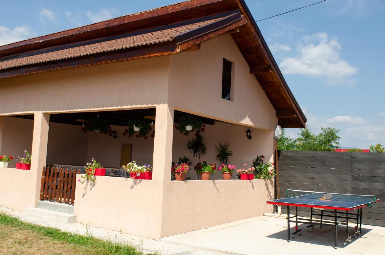 Pensiunea Aly Bumbesti Pitic Dış mekan fotoğraf